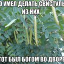 ���� ������, �����-��������� - ��������� 25 ������ 2014 � ������ ������ ��������