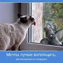 ���� ��������, ������, 66 ��� - ��������� 7 ���� 2014 � ������ ������ ��������