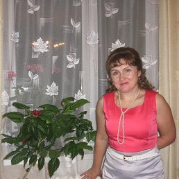 ���� �����, ��������� - ��������� 14 ��� 2014