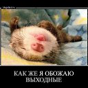 ���� �������, ������-��-��� - ��������� 19 ����� 2014 � ������ ����-��