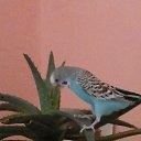 ���� �� ������� ���� ����������