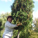 ���� ���������, ������, 67 ��� - ��������� 5 ������� 2014 � ������ ���� ����������