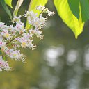 ���� ������� ������������, ������������, 39 ��� - ��������� 27 ��� 2014 � ������ ������� ����.�� ���.�
