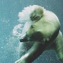 ���� ������, ������, 32 ���� - ��������� 15 ������ 2014 � ������ ������ ��������