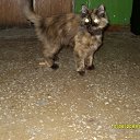 ���� �����, ����������, 45 ��� - ��������� 3 ���� 2014 � ������ ������ ��������