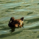 ���� 2014 �� ������� ������� ��������)))�