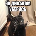 ���� Ta��, ������ - ��������� 21 ���� 2014 � ������ ������ ��������