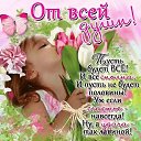 ���� �����, ������ - ��������� 18 ��� 2014 � ������ ������ ��������