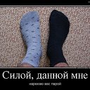 ���� Wik, ������, 62 ���� - ��������� 4 ���� 2014 � ������ ������ ��������