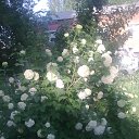 ���� �������, ����� - ��������� 25 ��� 2014 � ������ ���� ����������