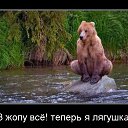 ���� �����, ������������, 44 ���� - ��������� 4 ������ 2014