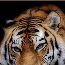 ���� Sergej, ������ ��������, 45 ��� - ��������� 10 ������ 2014