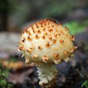 ���� �����, �����, 64 ���� - ��������� 6 ��� 2014 � ������ ������������ ������