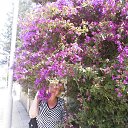 ���� ����, ������, 48 ��� - ��������� 14 ��� 2014 � ������ ������