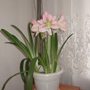 ���� �����, �������, 48 ��� - ��������� 9 ������ 2014 � ������ ���� ����������