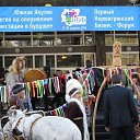  , , 53  -  20  2014   Untitled Album