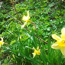 ���� ������, ������������, 55 ��� - ��������� 23 ���� 2014 � ������ ����� 2014�