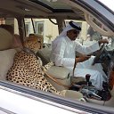 ���� Marat, ������, 54 ���� - ��������� 24 ���� 2014 � ������ ���� ����������