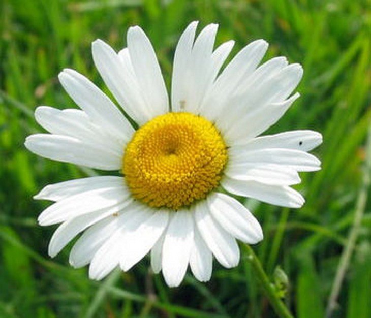 ����� ���� ���� �������� �����, � ����� ���� ������ ��� �������! ������ ����� � ���� �� ��������, � ... - 2