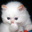 ���� �����, ������ - ��������� 27 ���� 2014 � ������ ���� ����������