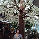 ���� �������, ���������, 54 ���� - ��������� 3 ���� 2014 � ������ ���� ����������