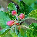 ���� �����, �����, 64 ���� - ��������� 4 ��� 2014 � ������ ������ � �����!�