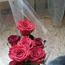 ���� �����, ������, 44 ���� - ��������� 19 ����� 2014 � ������ ���� ������� �������