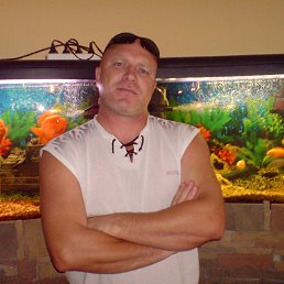 ����, �����, 58 ���