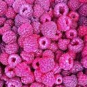 ���� ������, ������, 39 ��� - ��������� 24 ���� 2014 � ������ ������ ��������