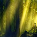 ���� �e� �, ������, 55 ��� - ��������� 16 ����� 2014 � ������ ���� ������