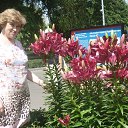 ���� ������, ������ - ��������� 9 ���� 2014 � ������ ����� ��.��������