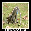 ���� ������, ������, 49 ��� - ��������� 1 ������� 2014 � ������ ��� �� ������� �����