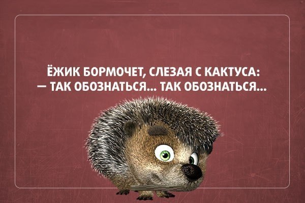  - 11  2014  17:37