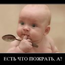 ���� �������_�����, �������, 48 ��� - ��������� 8 ���� 2014 � ������ ������ ��������