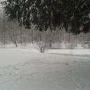 ���� �����, �����-���������, 51 ��� - ��������� 16 ����� 2014 � ������ ���� ����������