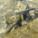 ���� ����������, ������, 58 ��� - ��������� 29 ���� 2014 � ������ ���