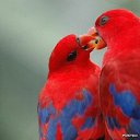 ������ ����� ���� � ����. �� ������� ������� ���� �������