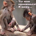 ���� ����, �������, 54 ���� - ��������� 3 ��� 2014 � ������ ������ ��������