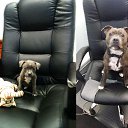 ���� Vera, ����������, 30 ��� - ��������� 15 ��� 2014 � ������ ������ ��������