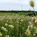 ���� �����, ������ �������� - ��������� 23 ����� 2014 � ������ �������� ������� ��������