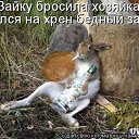 ���� �������, �������� - ��������� 19 ���� 2014