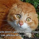 ���� �������, ������, 44 ���� - ��������� 23 ����� 2014 � ������ ���� ����� � �������������� ������-������