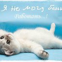 ���� ����������, ������� - ��������� 17 ���� 2014 � ������ ������ ��������