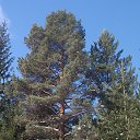 ������ ������� ��������� �����. �� ������� ���� ����������