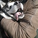 ���� �������, �����-���������, 37 ��� - ��������� 19 ������ 2014 � ������ ���� ����������