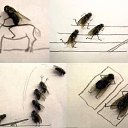 ���� ���������, ������, 44 ���� - ��������� 22 ����� 2014 � ������ �:))�