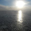 ���� �����, �����-��������� - ��������� 29 ����� 2014 � ������ ���� ��