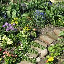 ���� ����������, ����������� - ��������� 24 ������ 2014 � ������ ������ 2014 ��Ļ