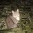 ���� �������, �����������, 63 ���� - ��������� 24 ���� 2014