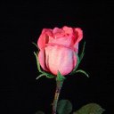 � ����� �������� ���� vk.com/fotiko �� ������� ��������� ���� � fotiko.ru�